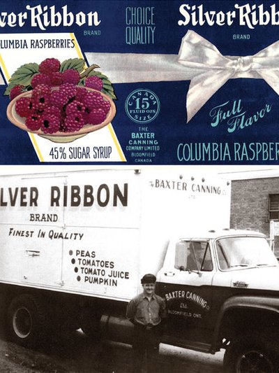 Silver Ribbon & Green Valley